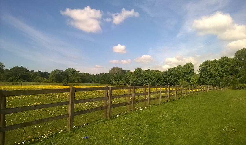 Avoiding Mistakes While Making Your Fence