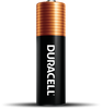 Duracell Coppertop AA Alkaline Batteries (AA 16 Pk)