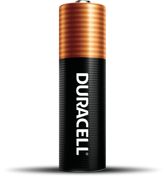 Duracell Coppertop AA Alkaline Batteries (AA 16 Pk)