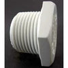 Ipex Pipe Plug