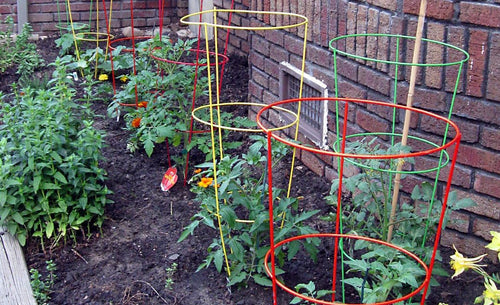 Glamos Wire Products Round Tomato Cages