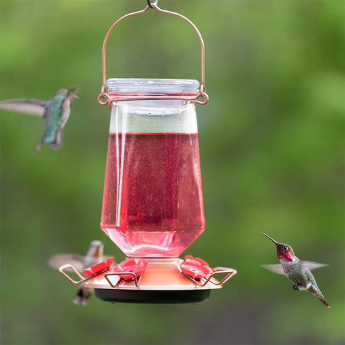 Perky-Pet® Ready-to-Use Red Hummingbird Nectar - 16 oz